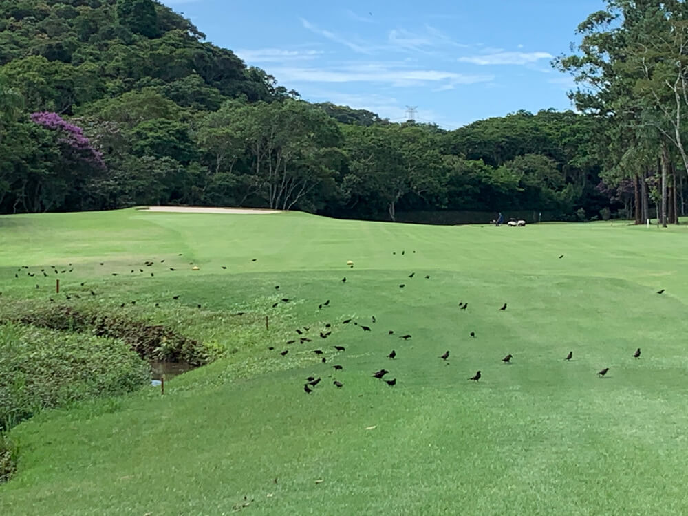 Guarapiranga Golf & Country Club - Interclubes Feminino 2018